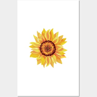 Sunflower sticker Posters and Art